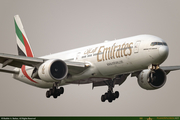 A6-EPT_1_16PX.jpg