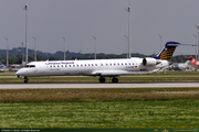 D-ACNQ_1_16PX.jpg