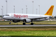 TC-DCF_1_16PX.jpg